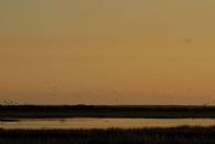 life over the billabong #2