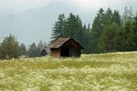 idea di semplicit�