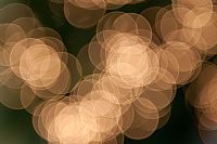 luci di una festa annunciata #4