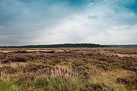 De Hoge Weluwe National Park