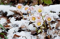 colors of (late) winter