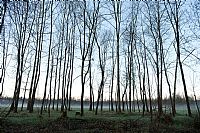 alba alle Fontane Bianche #5