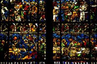 alsatian's colors #3