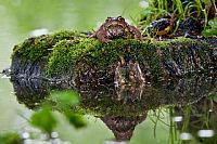 ready for the shot #2