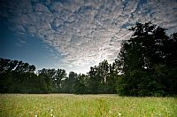 morning meadows closed