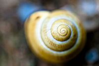 praise of slowness #3