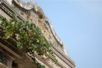 aggrapparsi e non cedere mai