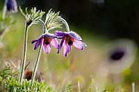 is still springtime ...