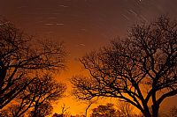 Chobe National Park: star trail