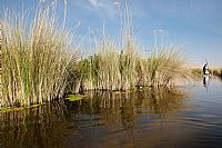 okavango delta #3