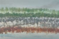 resta un segno nel cielo