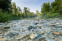 Piave - Early Morning