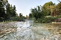 Piave - Early Morning #2