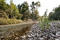 Piave - Early Morning #3