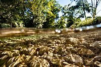 shallow water @ Fontane Bianche #2