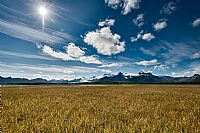 in the land of bears