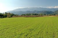 cartolina da casa #4