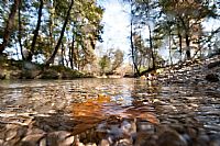 autumn @ Fontane Bianche #2