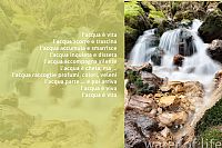 the water of life #2