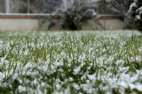 verso la fine di un autunno