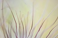 tentacular vibrations #2