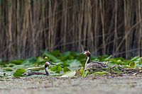 old friend of shots #3