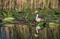 old friend of shots #4