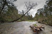 motion @ Fontane Bianche