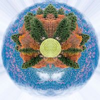 looking for a alternative brain #2