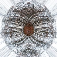 looking for a alternative brain #3