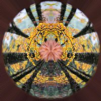 looking for a alternative brain #5