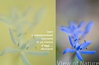 imagine a painted spring #2