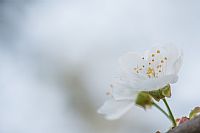 short memory of a rainy spring