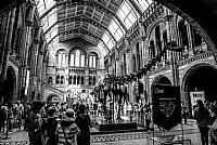 London - National History Museum