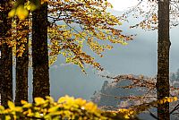 autumn ... in progress #7