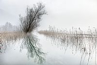 a lake like a mirror