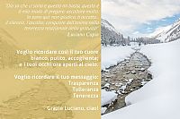 transparency tolerance tenderness