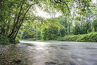 return to the White Fountains