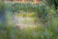 return to the White Fountains #2