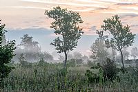 along the Piave river #2