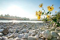 along the Piave river #3