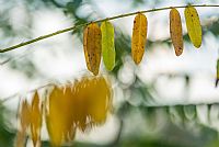 a little piece of autumn