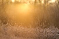 happy new year to everyone