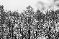 it starts all over again