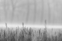 it starts all over again #2