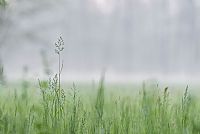 it starts all over again #3