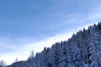 una netta divisione ...