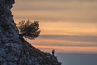 waiting the new year