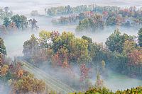 autumn back @ pal�