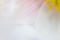 have an year full of tenderness